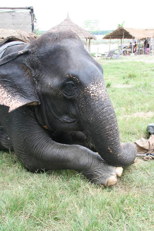 India & Nepal 2011 - 0573